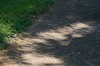2017-08-21 Eclipse 129